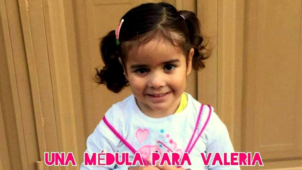 médula ósea donantes