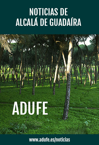 Noticias de Alcalá de Guadaíra